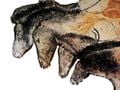 Des chevaux peints dans la grotte Chauvet