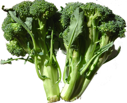 Brocoli