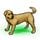 Images sur les retrievers