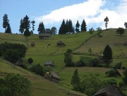Paysage des Carpates en Roumanie
