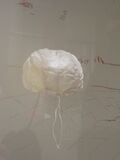 Bonnet de baptême de Frédéric Mistral, coll. Museon Arlaten