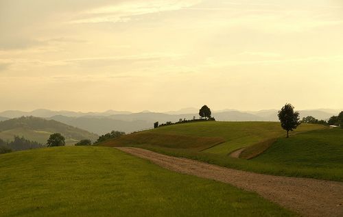 Paysage