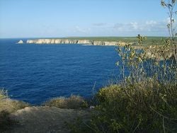 La côte au nord de Grande-Terre