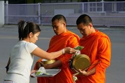 Moines bouddhistes thaïlandais revêtus d'une robe teintée par le curcuma