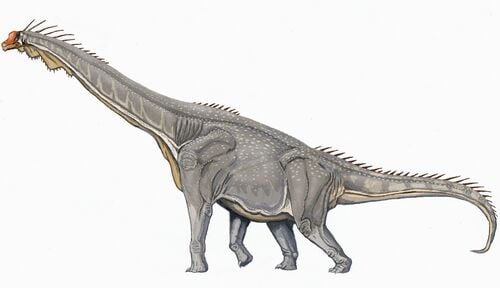 Reconstitution d'un brachiosaure par un artiste.