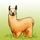 Images sur les animaux