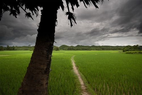 La mousson au mois d'août.