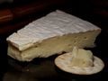 Un champignon : Penicillium camembertii, qui forme la croûte du Brie