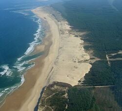 Une côte sableuse avec dunes en Gironde