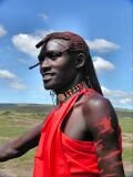 L'Homme (Homo sapiens)
