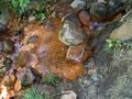 Une des résurgences de la source de Quézac. Il s'agit d'une source d'eau gazeuse (pétillante) ! La couleur rouge est due aux oxydes de fer