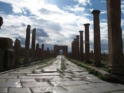 Rue romaine, à Timgad, en Algérie : les dalles posées en oblique évitent le choc simultané des deux roues d'un essieu dans le même joint, mais au risque d'un balancement régulier.