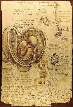 Étude d'anatomie