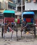 Pousse-pousse de Calcutta (Inde)