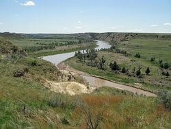 La vallée de la Little Missouri River. Photographie prise en juin.