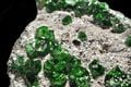 Des cristaux d'uvarovite, une variété de grenat (silicate de calcium et de chrome).