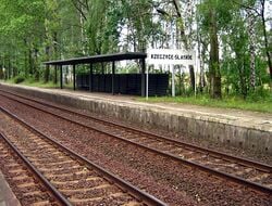 Les rails d'un chemin de fer sont constitués d'acier.