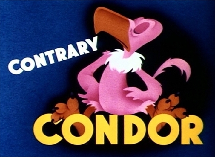 Αρχείο:D contrary condor.jpg