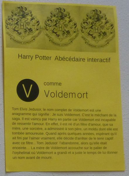 File:Voldemort of harry potter.jpg