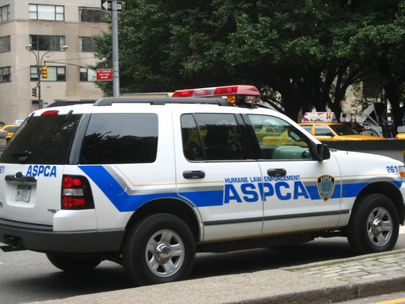 Archivo:Auto van de ASPCA.JPG