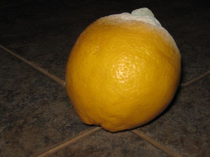 Archivo:15 10 2010 limon infestado 011.jpg