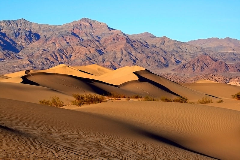 Fichier:Mesquite Dunes - vallée de la Mort.jpg