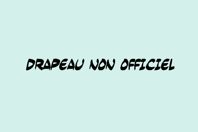 Fichier:DRAPEAU-NON-OFFICIEL.gif
