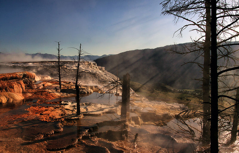 Fichier:Crepuscular rays and Dead trees at Mammoth Hot Springs.jpg