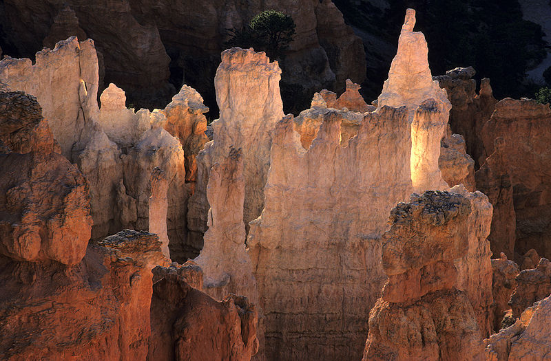 Fichier:Hoodoos in the Bryce Canyon National Park.jpg