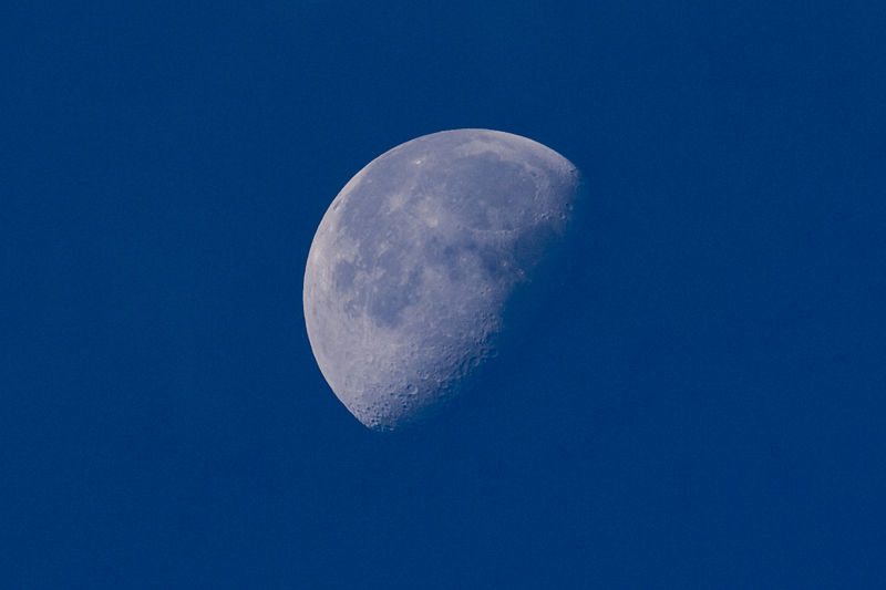 Fichier:Ack Ook - Blue Moon (by-sa).jpg
