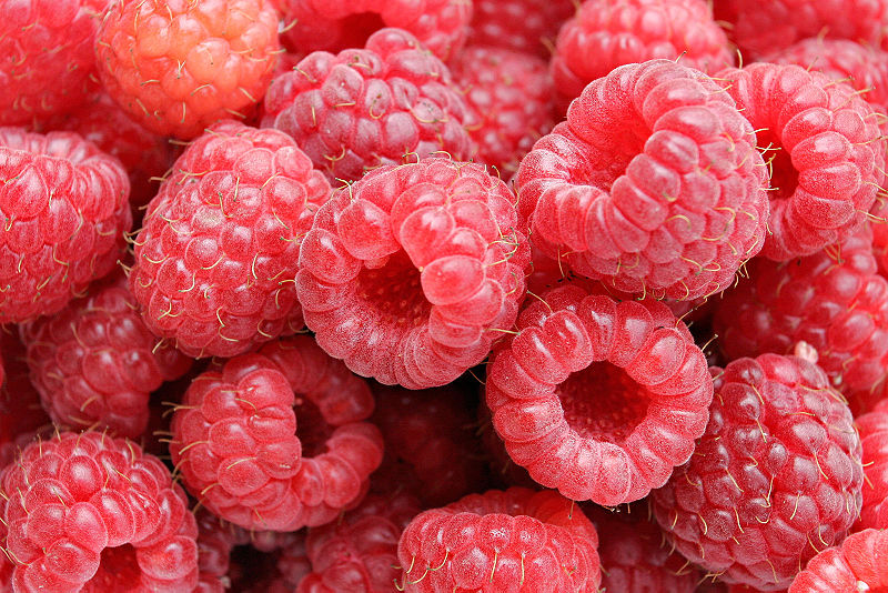Fichier:Raspberries05.jpg