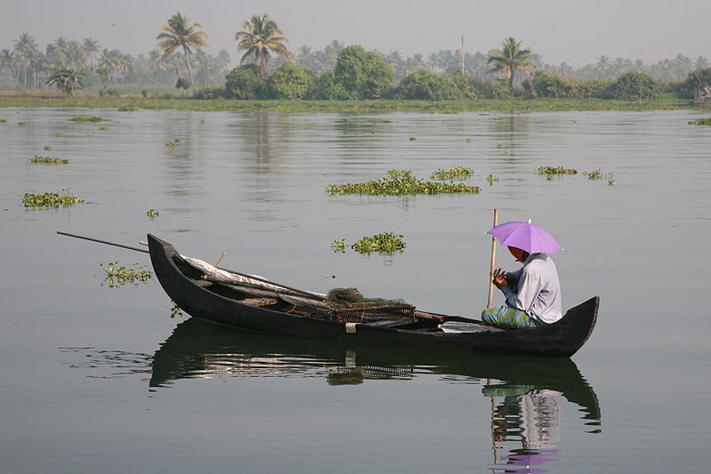 Fichier:Kerala backwater 20080218-11.jpg