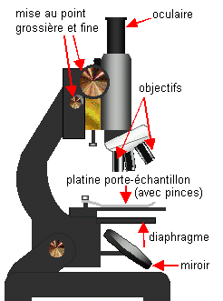 Fichier:Microscope (schéma commenté).png