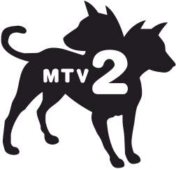 Fichier:MTV2 logo 2005.png