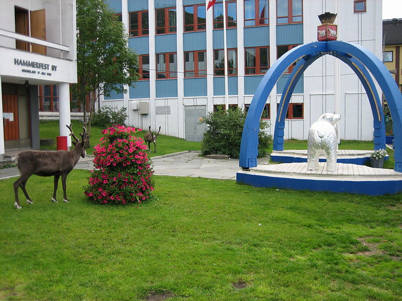 Fichier:Hammerfest - Urban Reindeer.jpg