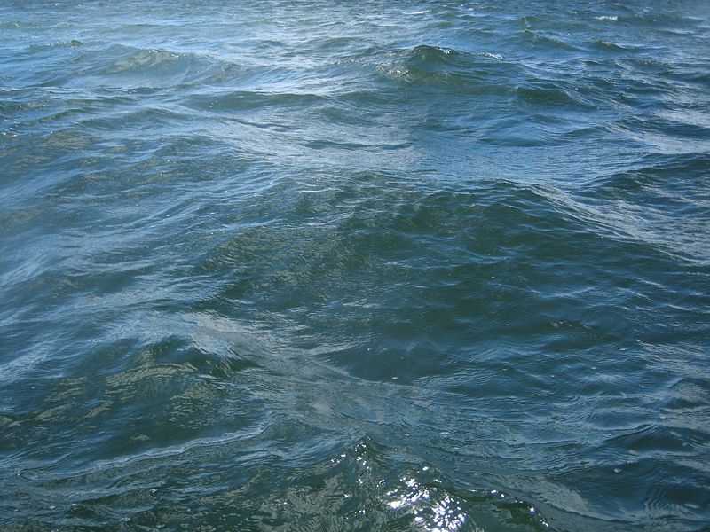 Fichier:Plain water (seawater of the Finnish Gulf).JPG