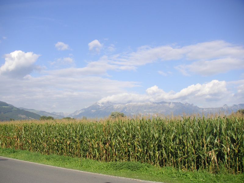 Fichier:Field, corn, Liechtenstein, Mountains, Alps, Vaduz, sky, clouds, landscape.jpg