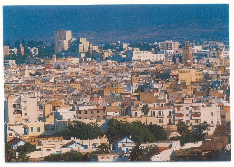 Fichier:Vue de Tunis.jpg