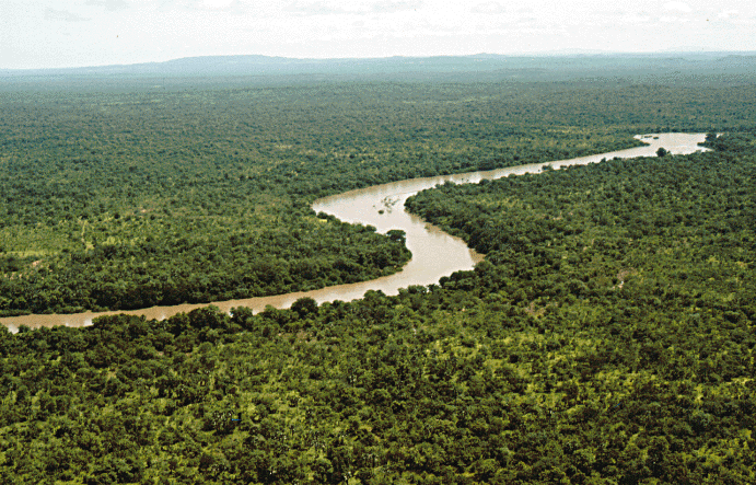 Fichier:River gambia- Niokolokoba National Park-Sénégal.gif