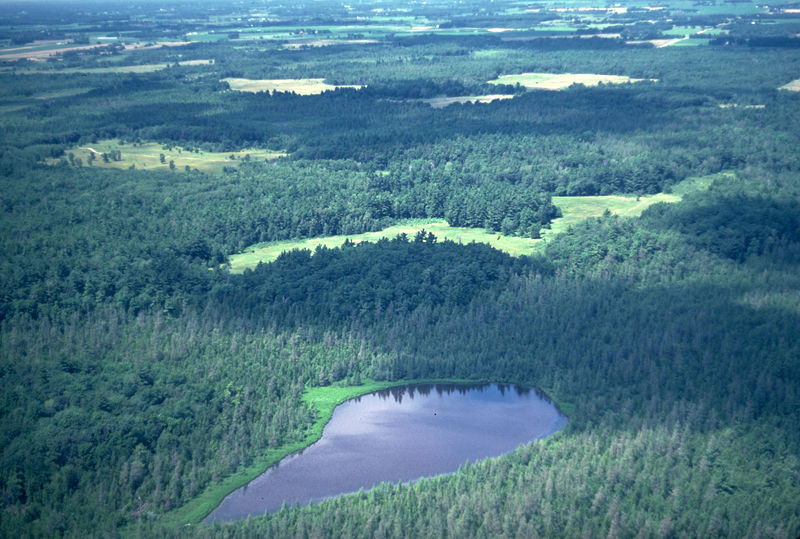 Fichier:Paysage forestier du Minnesota.jpg