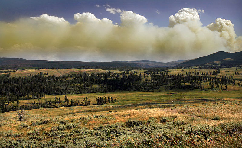 Fichier:Wildfire in Yellowstone Natinal Park produces Pyrocumulus clouds1.jpg