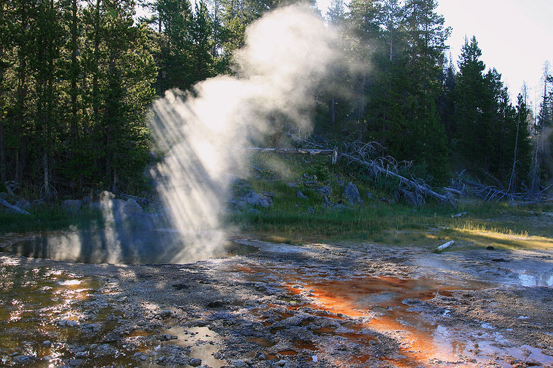 Fichier:Crepuscular rays over the steam from hot spring.jpg