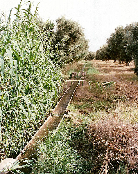 Fichier:Système d'irrigation rudimentaire au Maroc.jpg