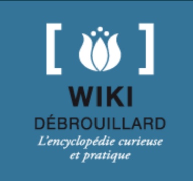 Fichier:Wikidébrouillard logo.jpg