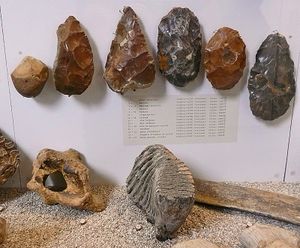 paléolithique