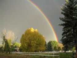 Carbondale rainbow.jpg