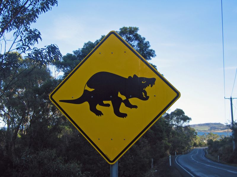 Fichier:Tasmanian Devil Crossing.jpg