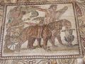 Cherchell museum - car pulled by leopards.jpg