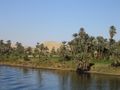 Le Nil, fleuve sacré pour les Égyptiens (incarné par le dieu Sobek)