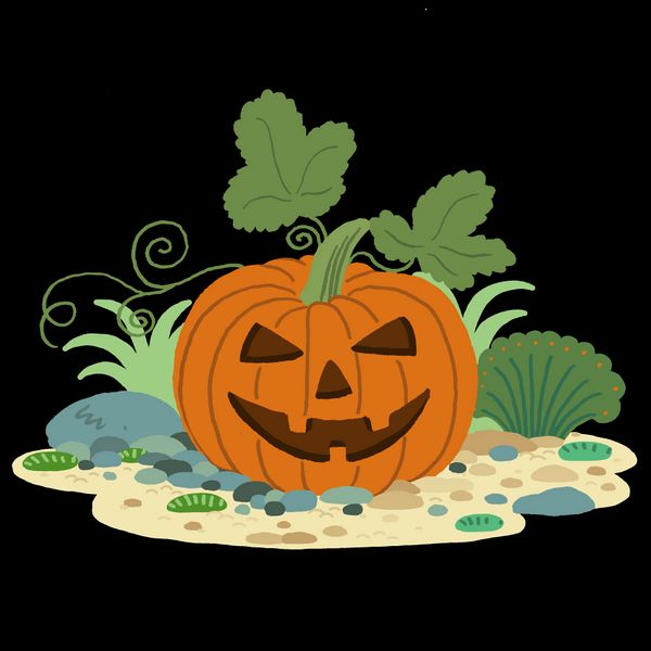 Fichier:Halloween-Citrouille.jpg